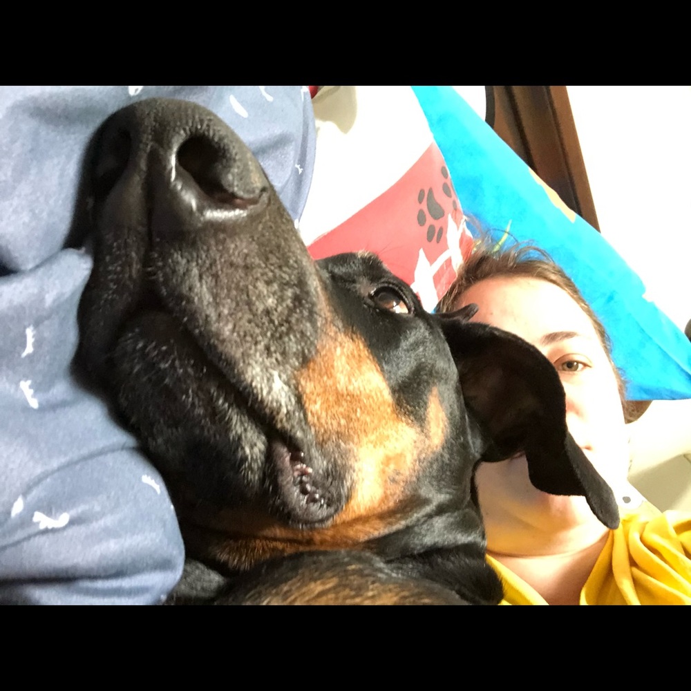 Meet your Posher, Katie